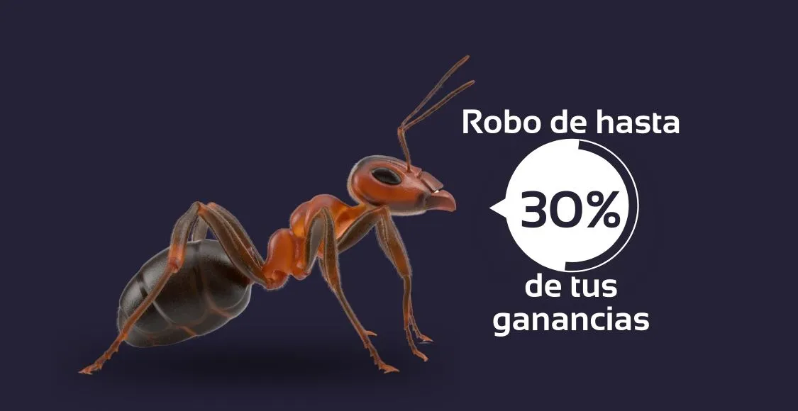 ROBO HORMIGA