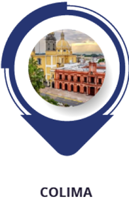 Vigilancia y control de seguridad privada en el Estado de México.